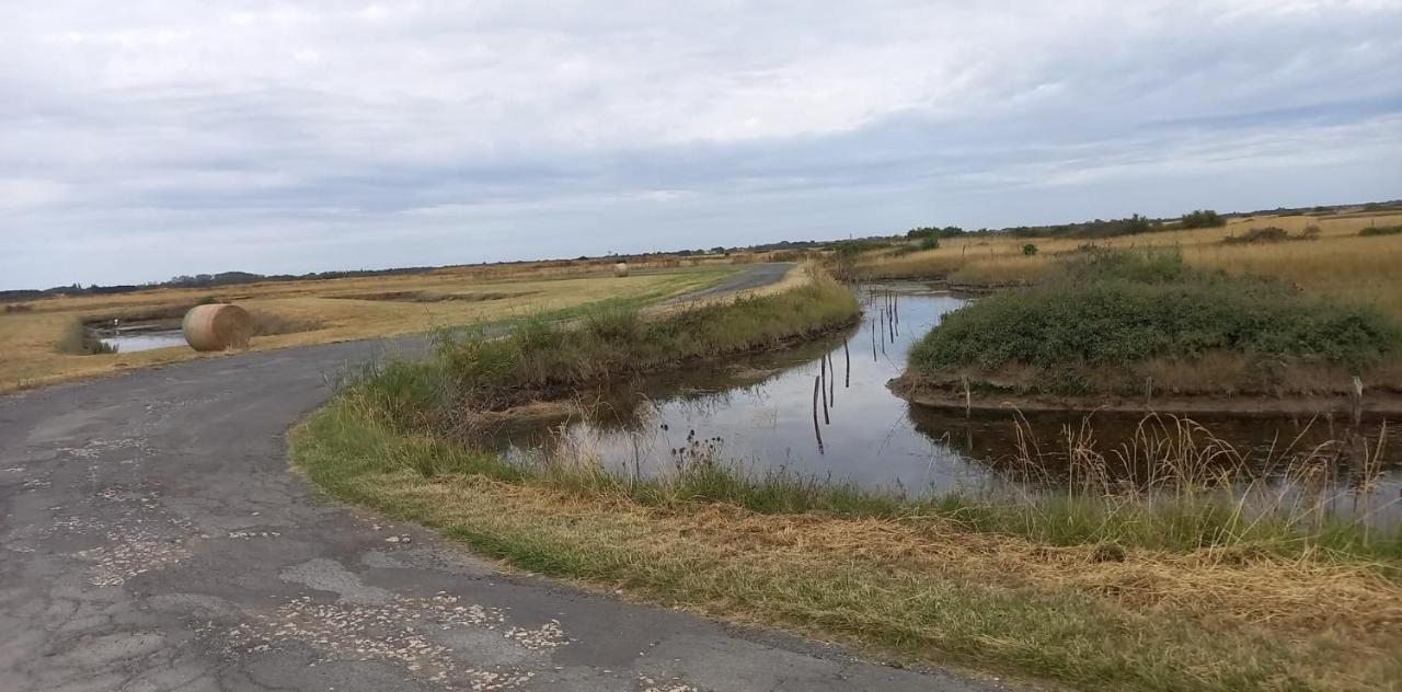 En plein cœur de l’Île d'Oléron, suite parentale. Dolus-d'Oléron Extérieur photo